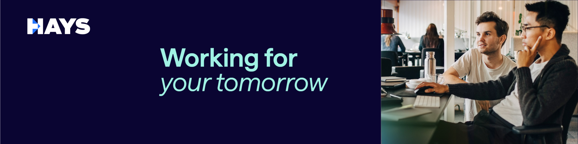 Hays Professional Solutions GmbH